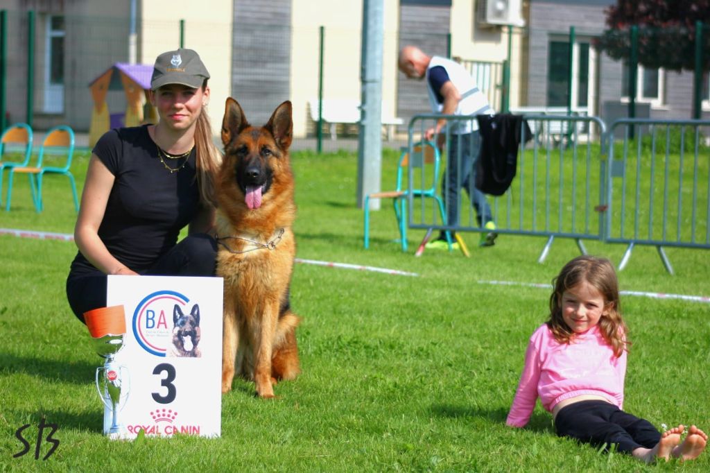 Shippie Du Montgison